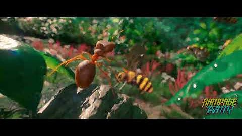 Ant run - Rampage Rally Pwnisher challenge