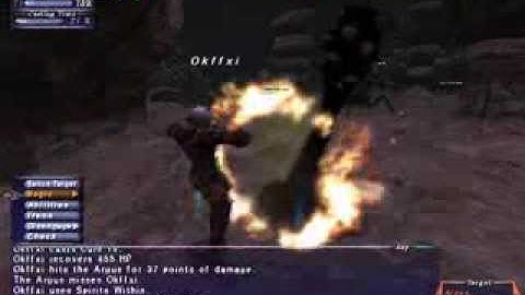 Final Fantasy XI Argus