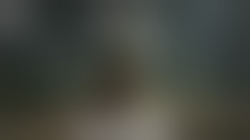 The Last of Us Part II Walkthrough - Part 11: Finding Owen