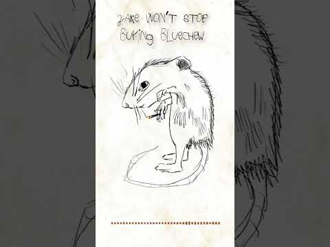 Factors to Consider When Choosing Gummies for ED