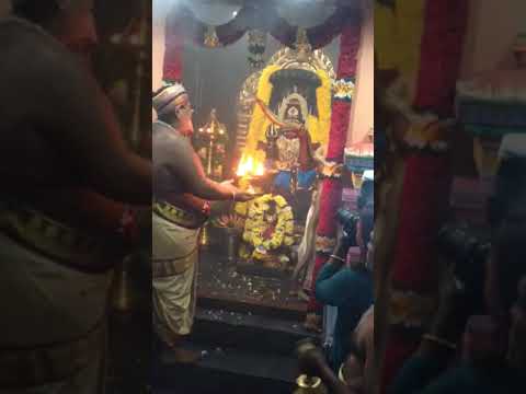 श्री पशुपतिनाथ मन्दिर के दुर्लभ दर्शन - नाग देवता की पूजा