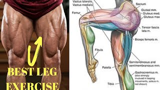 9 تمارين تضخيم الارجل في المنزل كمال الاجسام - Leg Workout Home