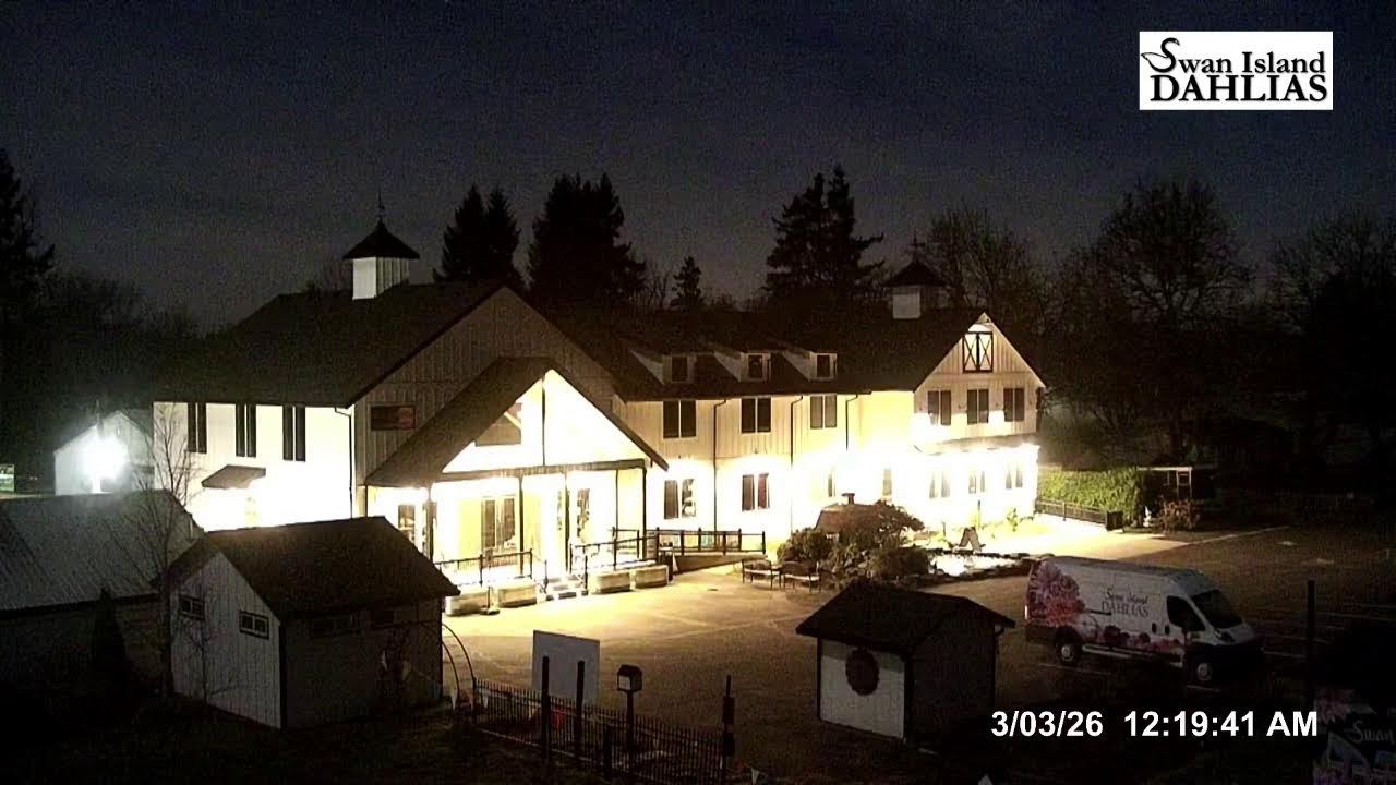 Swan Island Dahlias in Canby OR