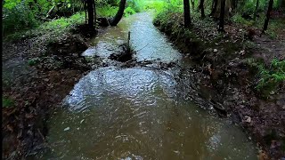 Beaver Dam Creek Has Water Flowing In It Again! Ooo Beeaaverrs! 😅😅 
