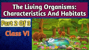 Class 6: The Living Organisms- Characteristics And Habitats (Part 2 Of 3)