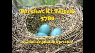 Rav Sprecher 20200826 Parshat Ki Teitzei 5780