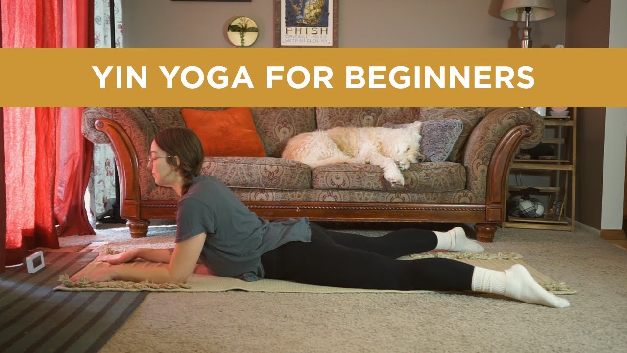 Yin Yoga for Total Beginners | Slow, Mindful Stretch & Stress Relief