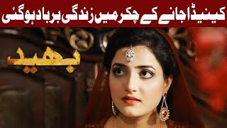 Canada Jana Mehnga Par Gaya  Bhaid  25 August 2018  Express News