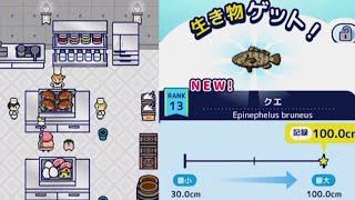 【つりライフ＋】新鮮なクエを釣る庭師の休憩のお手伝いゲーム実況 screenshot 5