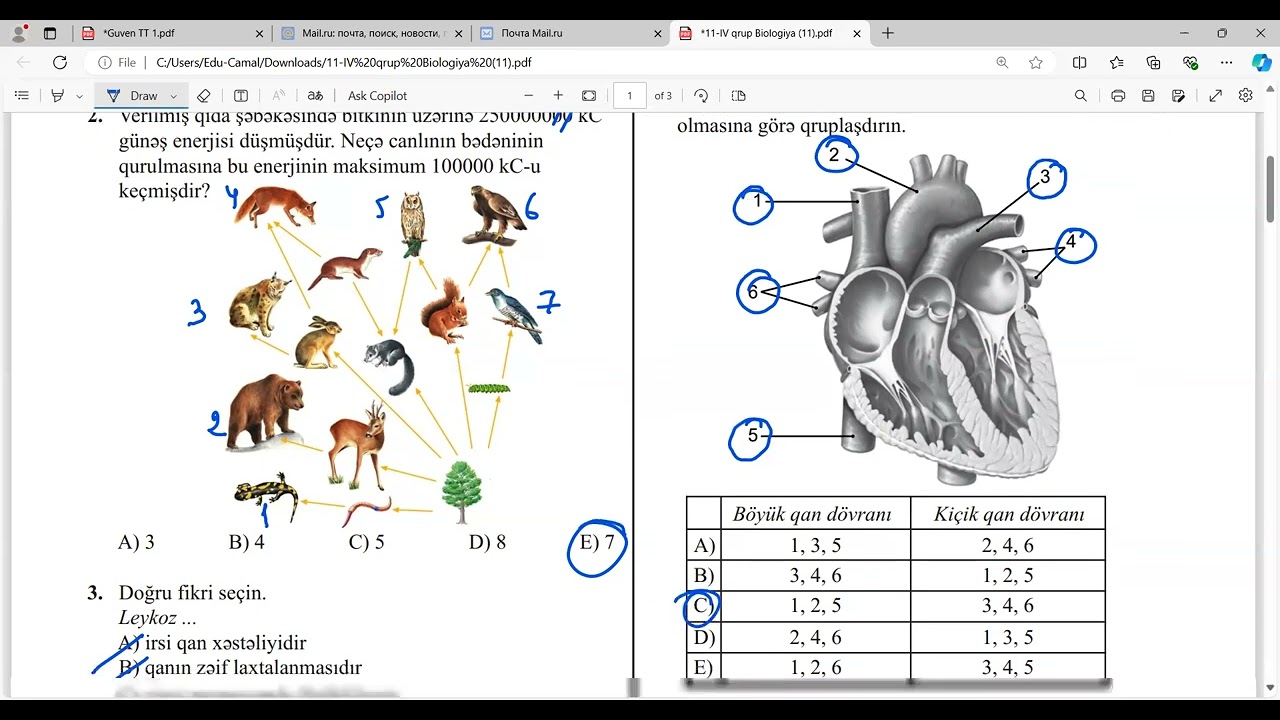 Bioogiya- Yeni abituriyent ÜSİ 30 iyun