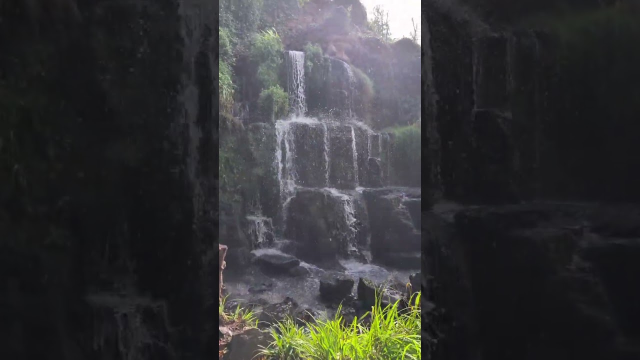 A slow walk at Bowood garden, Wiltshire 