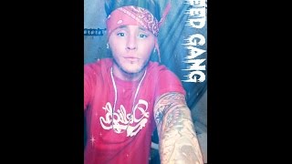 SPEED GANG - Quit Playing Games (with My Heart) Lyrics