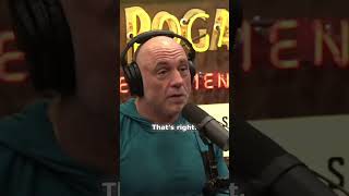 Unraveling the Legend: Khabib's Undefeated Legacy! 🥇