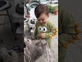 Cute Baby Aslan Enjoy With Cat Adorablebabymoments Cuteanimal Cute Happybabymoments Baby