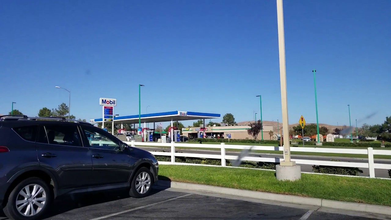 I wonder why there so many flies? YouTube