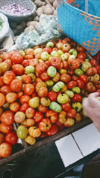 Tomat ranti khas Banyuwangi hanya untuk sambal #sunriseofjava #vegetables