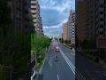 東京に来たことがある人は、きっと東京の街を歩くのが好きになるんじゃないかな。#東京散歩 #日本の美 #癒し動画 #静かな時間 #TokyoVlog #tokyostreet #japanvibes