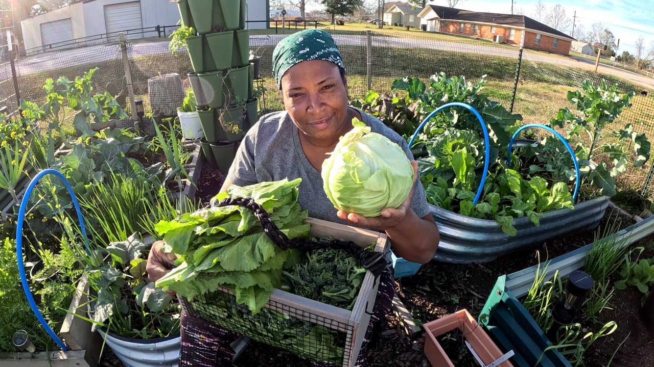 LET'S CHAT & HARVEST FROM THE GARDEN
