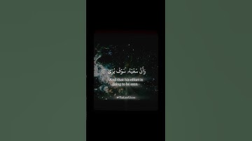 Surat Al-Najm [39-41] 💫 | سورة النجم (٣٩-٤١) #yasseraldossary #اكسبلور #المصحف