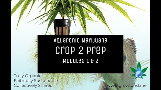 Crop 2 Prepping - Aquaponic Marijuana - Module 2 Nearly Finished!