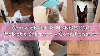 Review SKOUT'S HONOR: Cat Probiotic Shampoo + Conditioner for a Healthier Skin and Coat - Honeysuckl