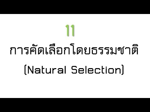 11 การคัดเลือกโดยธรรมชาติ(วิทยาศาสตร์ชีวภาพ ม.4)