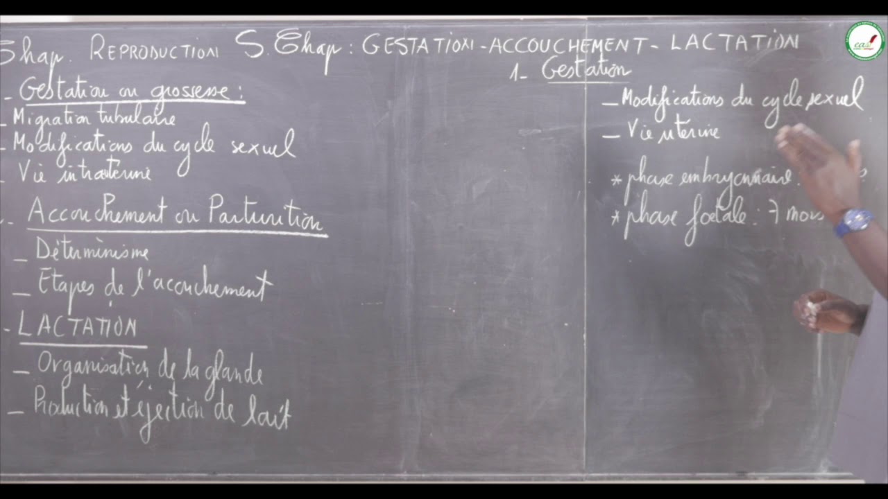 Cours - Terminale - SVT : La Reproduction / Gestation - Accouchement - Lactation / Suite 1 M. Gnasse