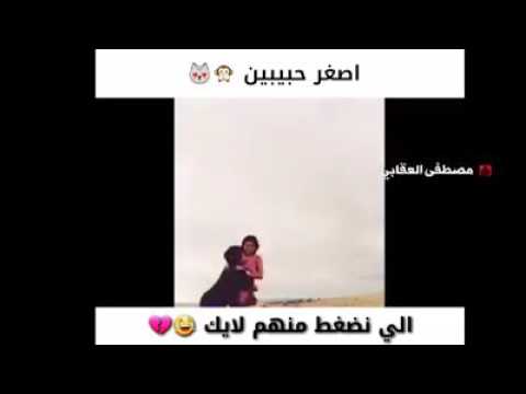 اصغر حبيبين يخبلون