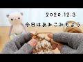 今日の編み物日記。１２月３日【編み込み模様のニット帽】