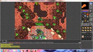 Tibia - The Hive (First Look)