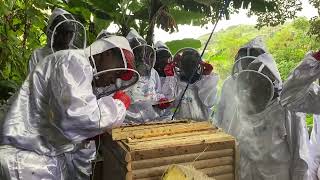 La phase pratique lors de notre formation en apiculture #apiculture #abeille #ruche #miel #pollen 