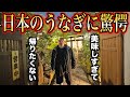 アメリカ人が泣いた！名古屋の老舗で感動のうなぎのひつまぶし！＠あつた蓬莱軒 本店
