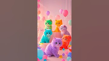 Miyav miyav 🐈#cat #kitten #catvideos #animaldance #billi #youtubeshorts #trending #viralshorts