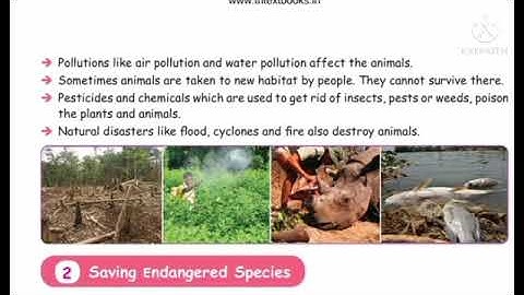 5th science term 3 unit 2 Animals part 2