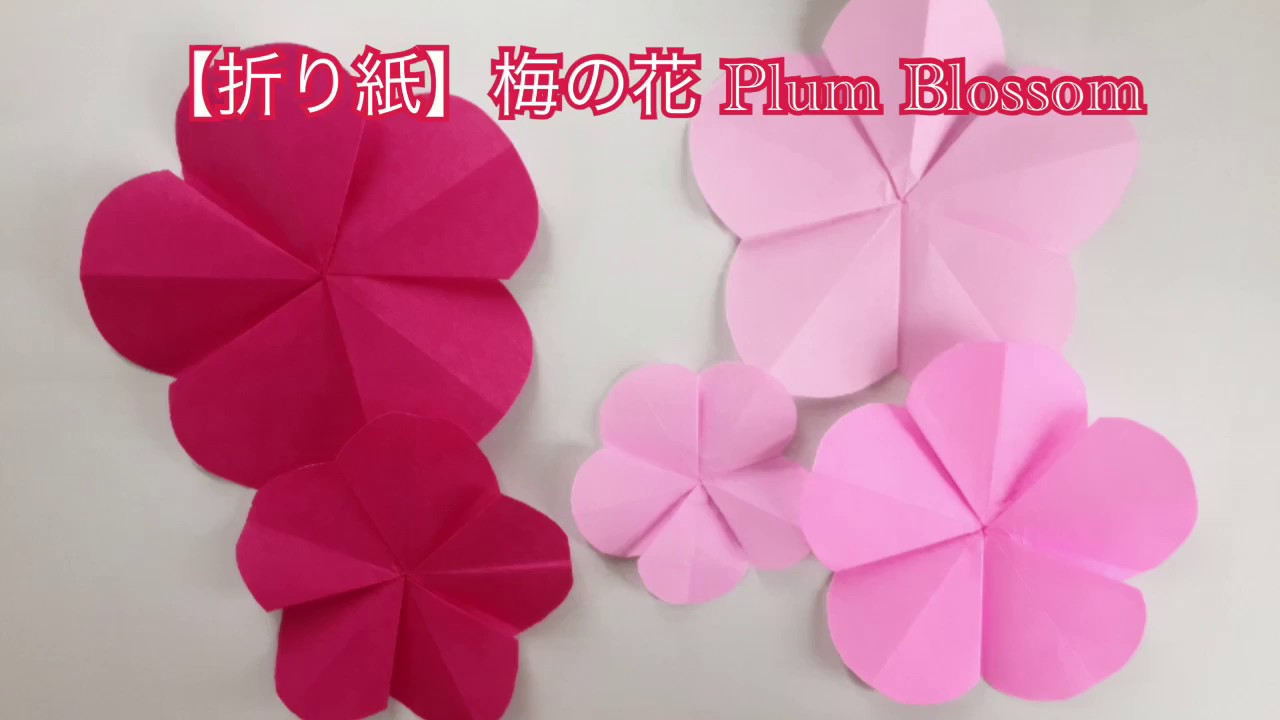 折り紙 梅の花を折ってみた Plum Blossom Youtube