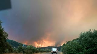 Incendies en Grèce : l'île d'Eubée en proie aux flammes, accalmie au nord d'Athènes
