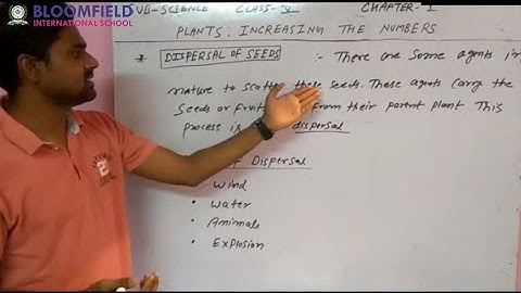 Plants : Increasing the numbers | Science | Class 5 | Chapter 1