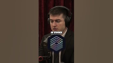 Lex Fridman: Evolution Of GPT (ChatGPT) 😆👨‍💻 #chatgpt #ai #jre