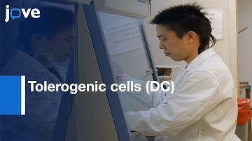 Tolerogenic cells (DC): Characterization | Protocol Preview