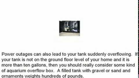 What The Heck Is An Aquarium Overflow Box?