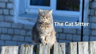 The Cat Sitter Episode 4