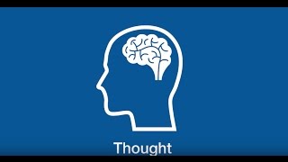 The Birkman Method - Thought
