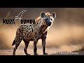 KURA A RUMBU 24 KURA A RUMBU 24