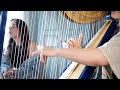 Maggie Rogers - Alaska Cover || Harp &amp; Voice