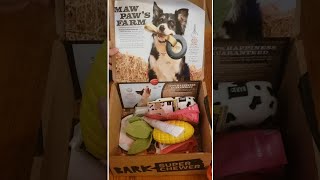 Bark Box: Super Chewer Reveal Ends A 💩 Show!!!