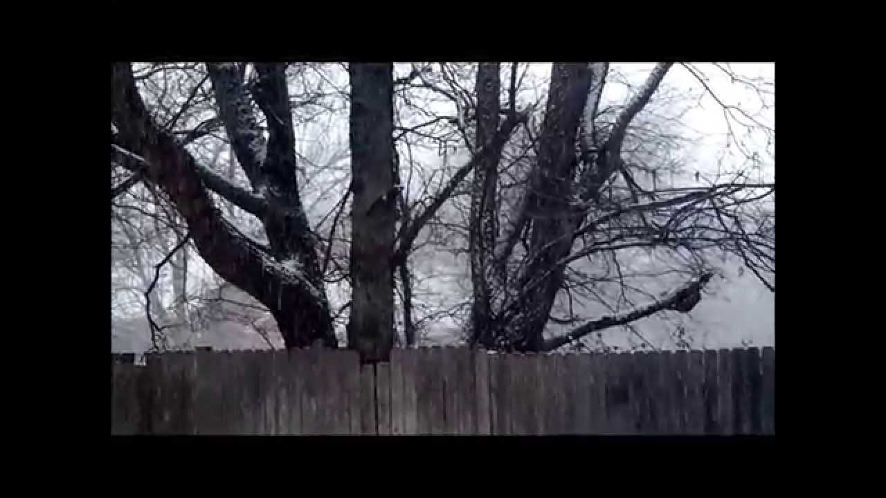 Feb 27, 2015 snow in Keller, TX YouTube