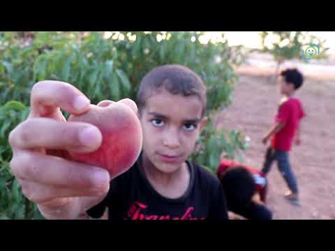 طبرق البطنان بئر الأشهب طارق غريب ووثائقي قصير حول الزراعة وتربية المواشي في بئر الأشهب