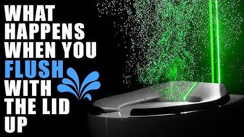 Flushing The Toilet With The Lid Up 💦