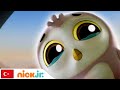 Pati Devriyesi | Bebek Baykuş | Nick Jr.