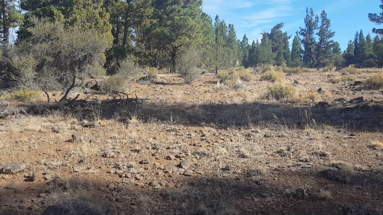 Land for Sale Klamath Falls Forest Estates Gibbon Ln